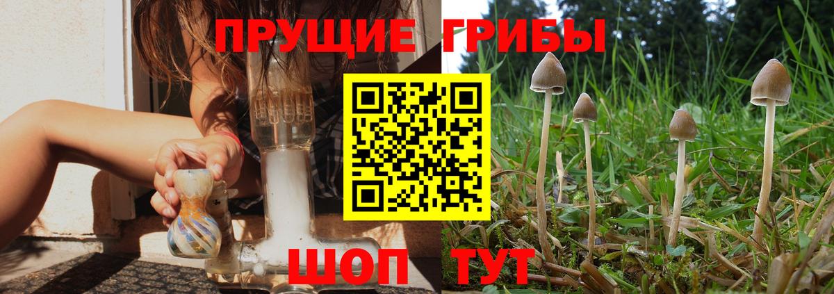 Галлюциногенные грибы GOLDEN TEACHER Губкинский