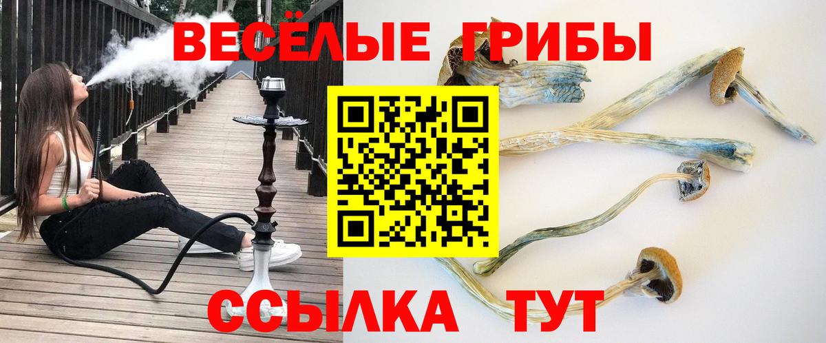 Галлюциногенные грибы MAGIC MUSHROOMS  Вход с VPN  Губкинский 