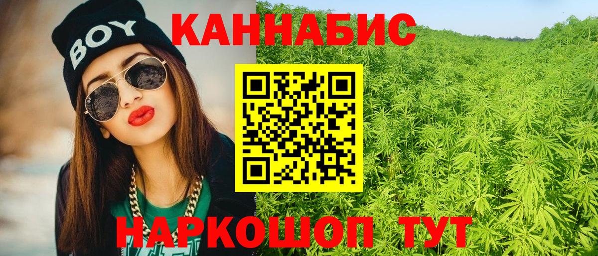 Бошки Шишки сатива Губкинский